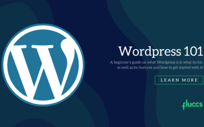 WordPress 101