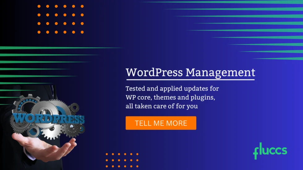 Wordpress Management By Fluccs